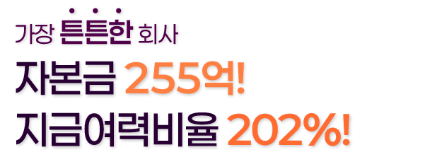 가장튼튼한회사 자본금 255억 지급여력비율 202%